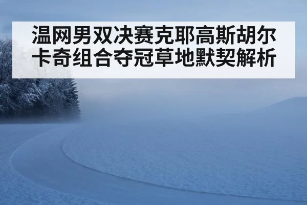 温网男双决赛克耶高斯胡尔卡奇组合夺冠草地默契解析